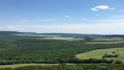 Les infos qu’il ne fallait pas rater cette semaine en Côte d’Or 